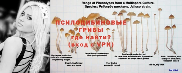 марки nbome Волоколамск